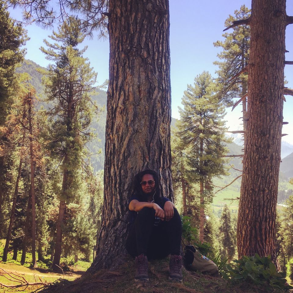 Photo of My Story of How I Failed On the Easiest Trek in Kashmir 8/14 by Kanika Gupta