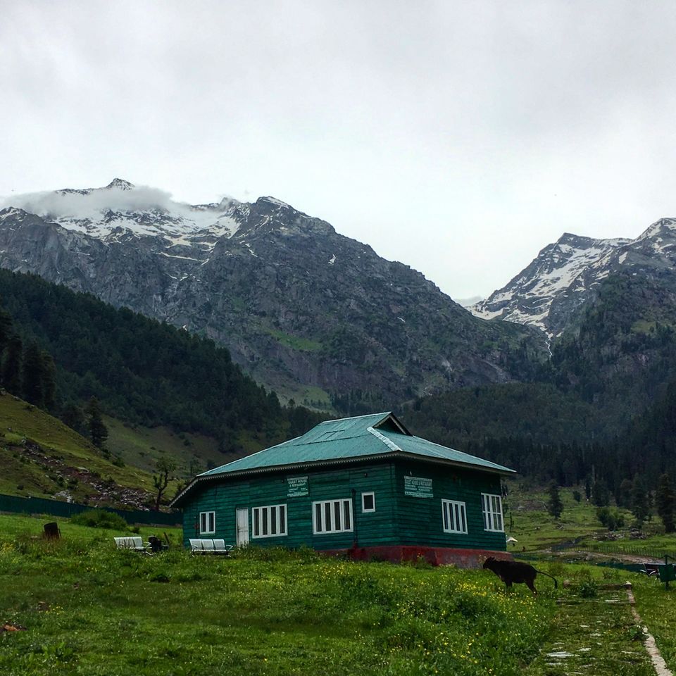 Photo of My Story of How I Failed On the Easiest Trek in Kashmir 11/14 by Kanika Gupta
