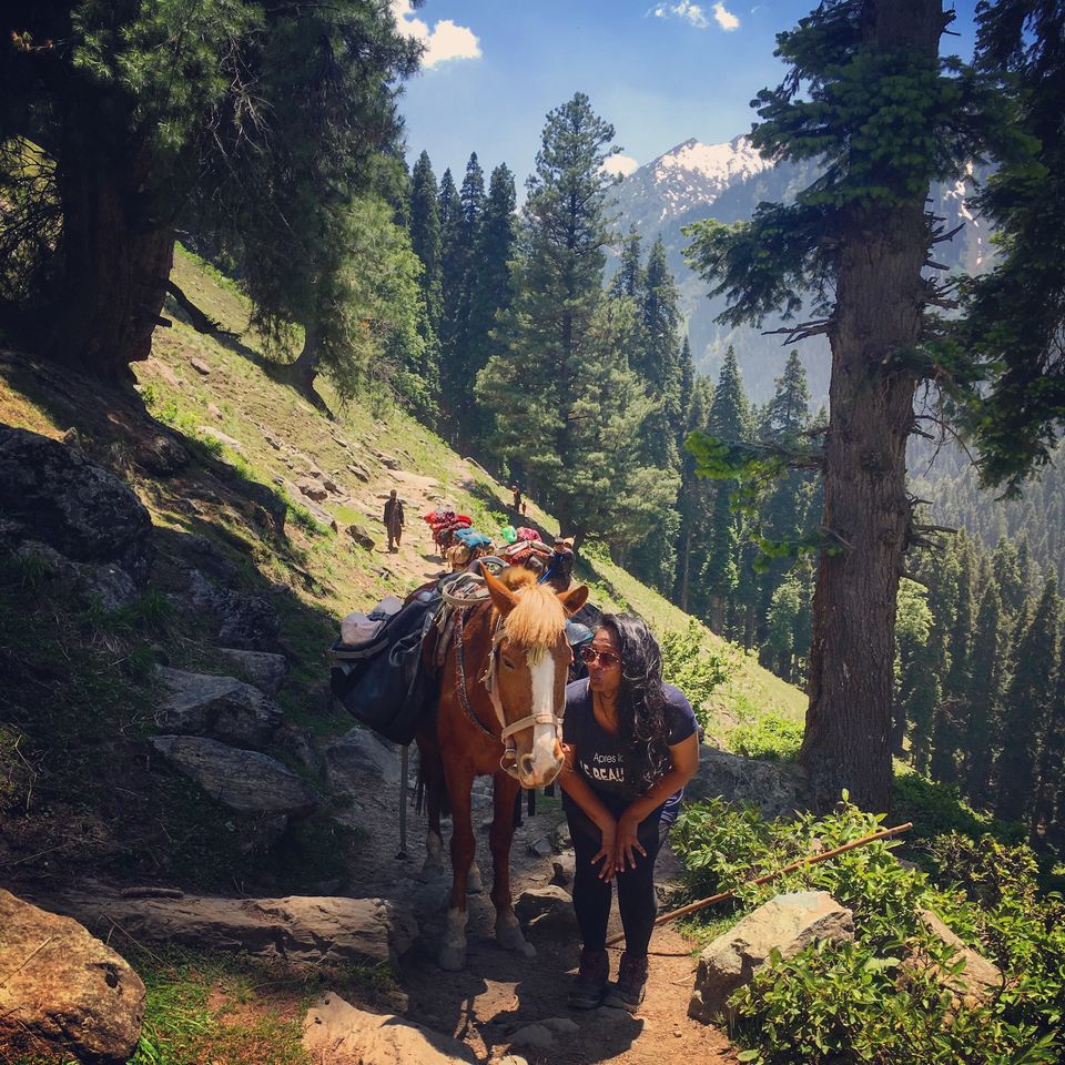 Photo of My Story of How I Failed On the Easiest Trek in Kashmir by Kanika Gupta