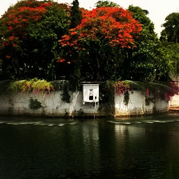 Photo of A day in Udaipur 6/15 by Aarav Yadav