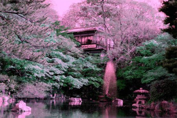Photo of The Tried and True Method for Trip to Japan in Step by Step Detail by Kacang Frape
