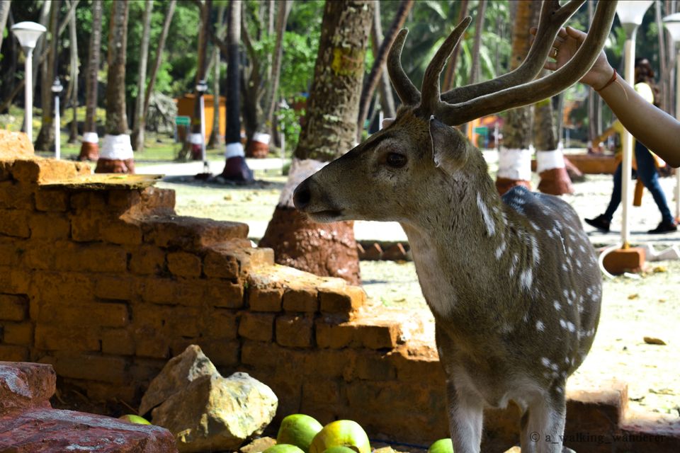 Photo of Ross Island, Port Blair by Anish Upadhyay