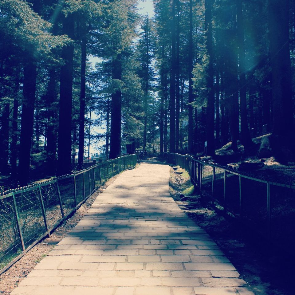 Photo of Solo backpacking in Himachal by Auzzie D