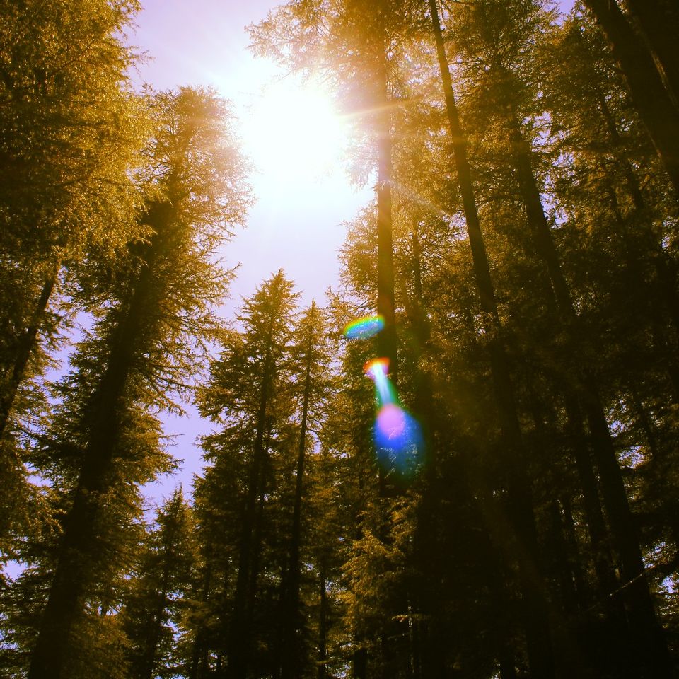 Photo of Solo backpacking in Himachal by Auzzie D
