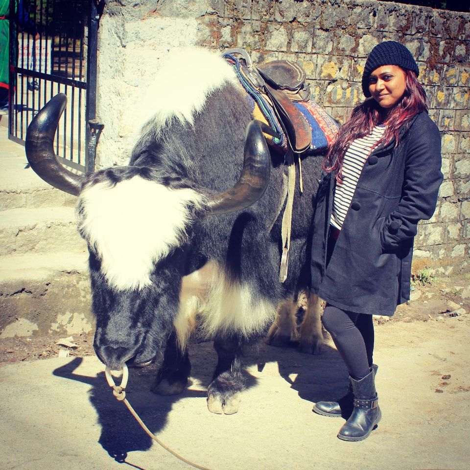 Photo of Solo backpacking in Himachal by Auzzie D