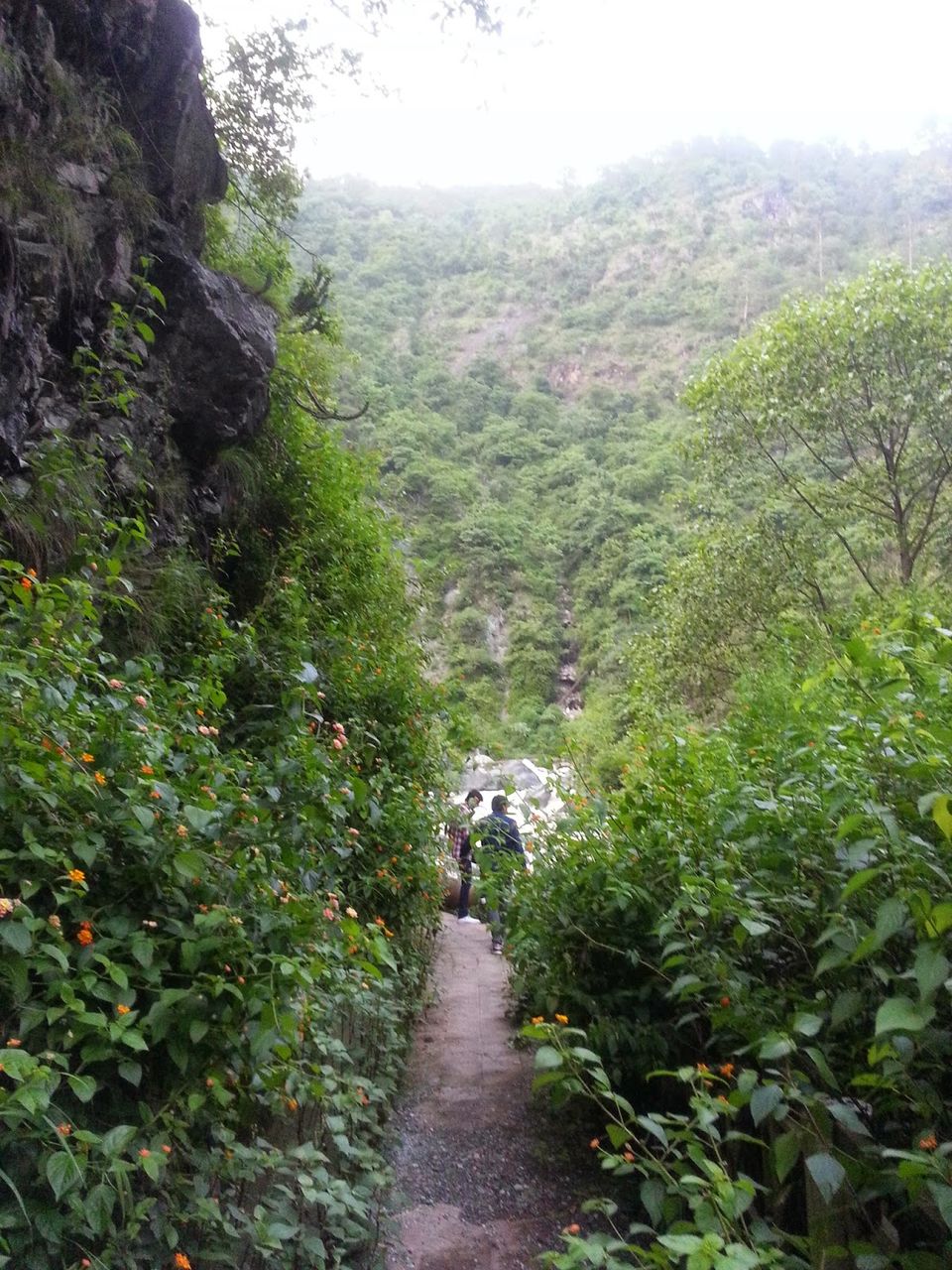 Photo of Ranikhet, Uttarakhand, India by Niharika Pandey