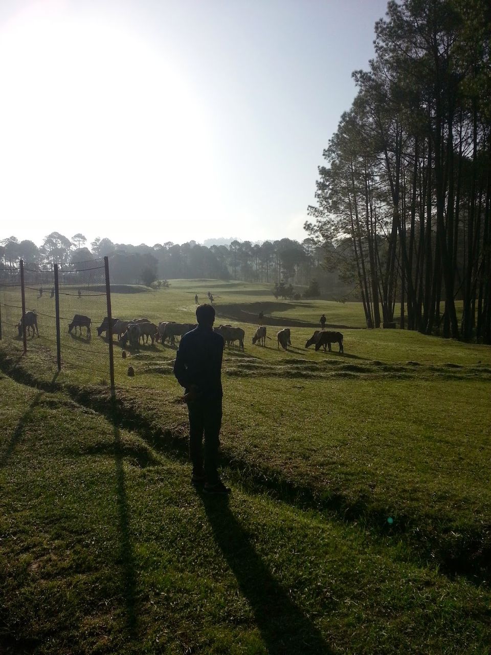 Photo of Ranikhet, Uttarakhand, India by Niharika Pandey