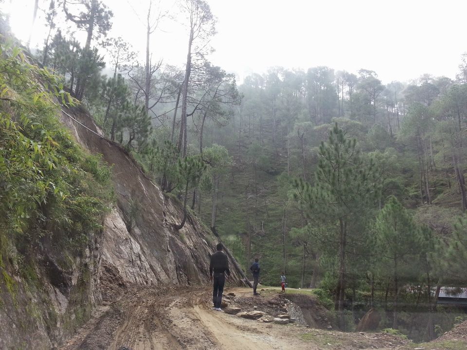 Photo of Kausani, Uttarakhand, India by Niharika Pandey