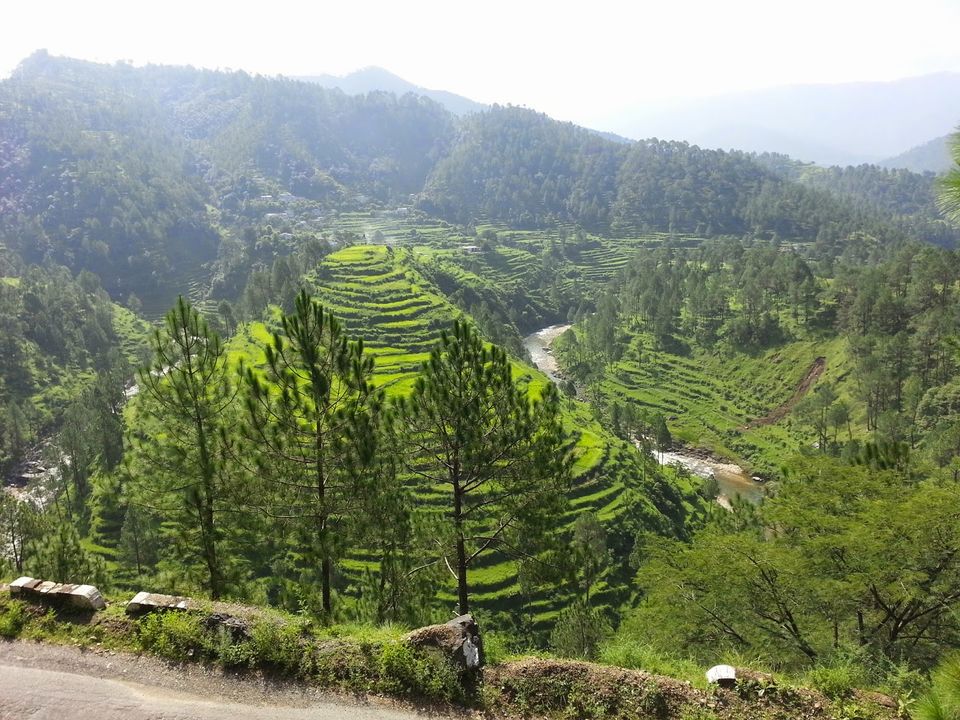 Photo of Kausani, Uttarakhand, India by Niharika Pandey