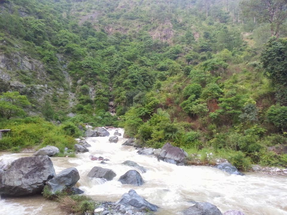 Photo of A little nothing leads to extraordinary something - nainital,ranikhet, kasauni by Niharika Pandey