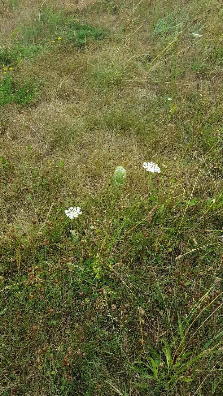 Photo of Simcoe County by Mars L