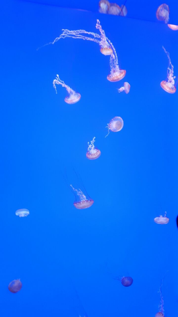 Photo of Toronto, Canada - Overdue mini vacation by Mars L