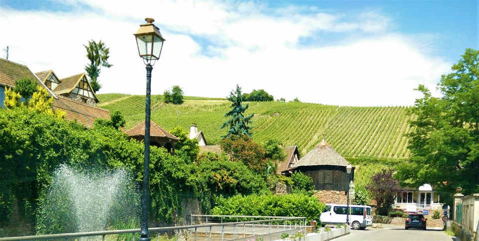 Photo of Eguisheim, France by travelindians