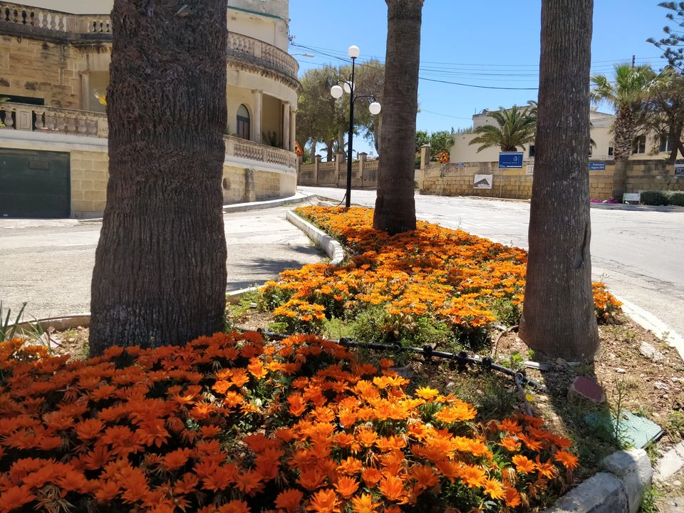 Photo of Gozo, Malta by travelindians