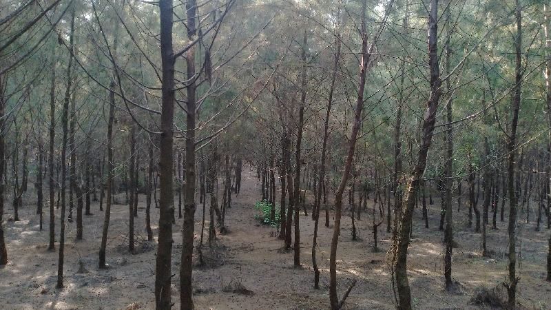 Photo of My vacation trip to Palghar with Cousins #tripotoblog #travelbreak #explorenew by Maitray Parikh