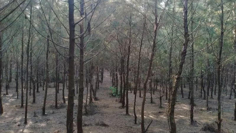 Photo of My vacation trip to Palghar with Cousins #tripotoblog #travelbreak #explorenew by Maitray Parikh