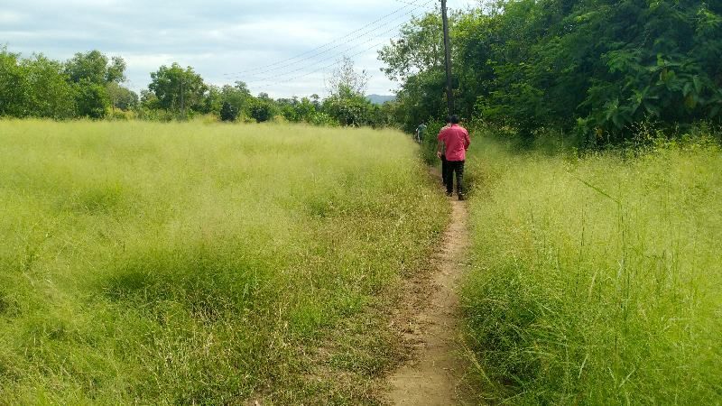 Photo of My vacation trip to Palghar with Cousins #tripotoblog #travelbreak #explorenew by Maitray Parikh