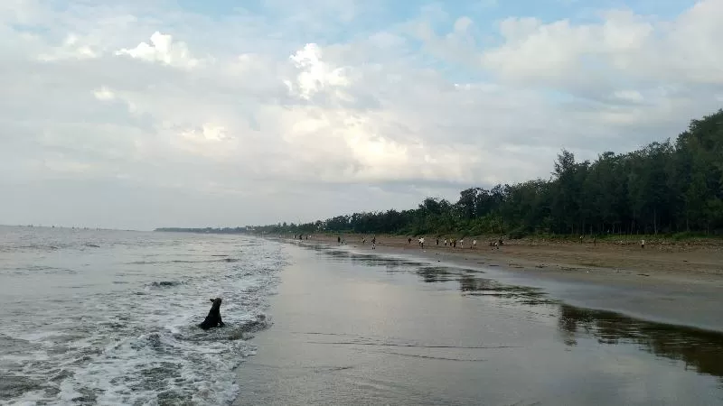 Photo of My vacation trip to Palghar with Cousins #tripotoblog #travelbreak #explorenew by Maitray Parikh
