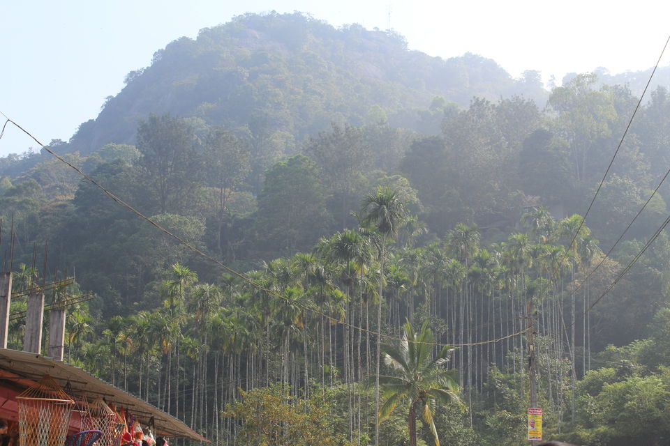 Photo of Wayanad: Where everyone feels at home 1/26 by Meghana Jambhe