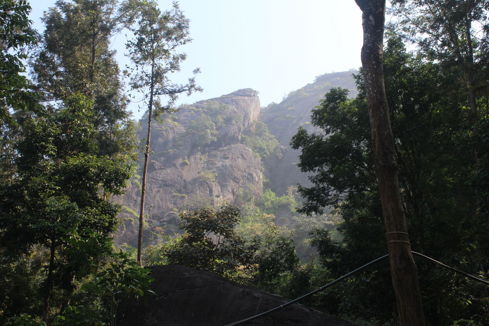 Photo of Wayanad: Where everyone feels at home 2/26 by Meghana Jambhe