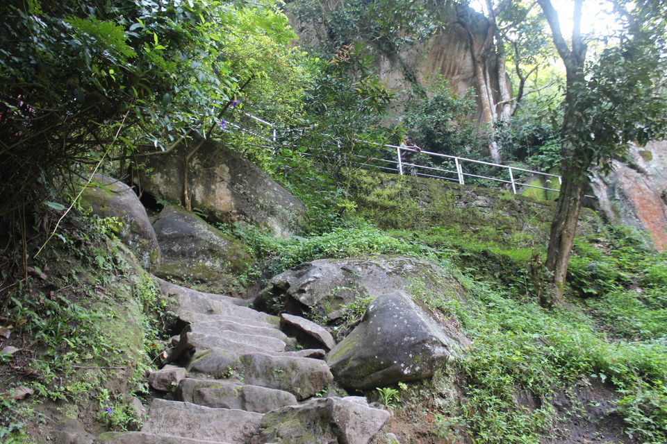 Photo of Wayanad: Where everyone feels at home 3/26 by Meghana Jambhe