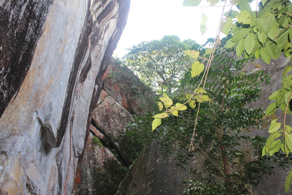 Photo of Wayanad: Where everyone feels at home 5/26 by Meghana Jambhe