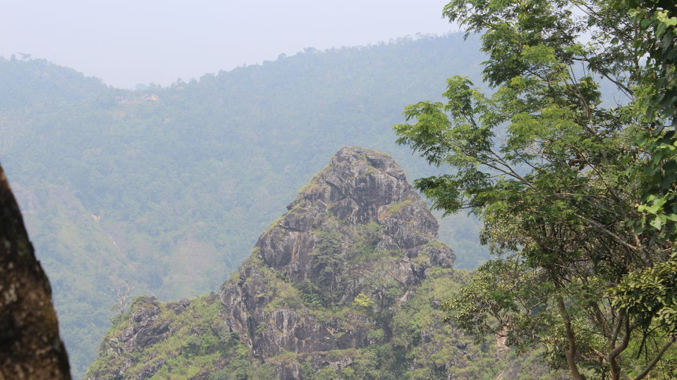 Photo of Wayanad: Where everyone feels at home 10/26 by Meghana Jambhe