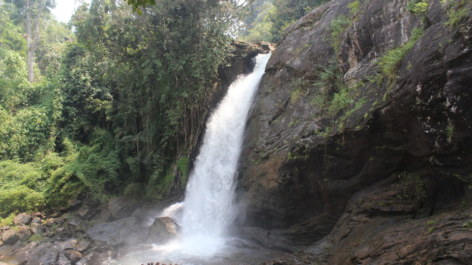 Photo of Wayanad: Where everyone feels at home 11/26 by Meghana Jambhe