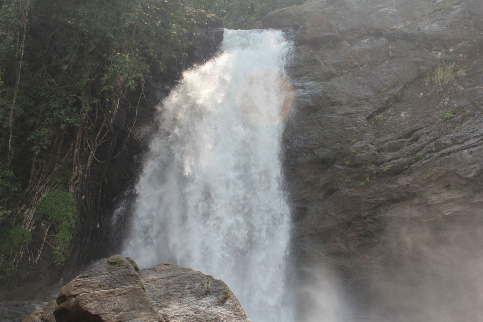 Photo of Wayanad: Where everyone feels at home 12/26 by Meghana Jambhe