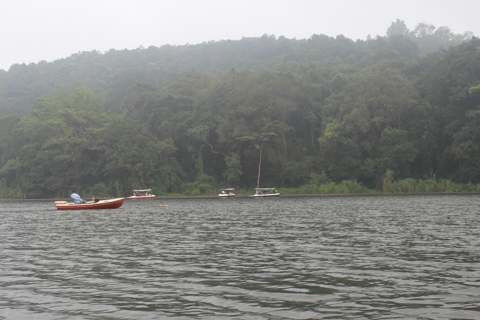 Photo of Wayanad: Where everyone feels at home 13/26 by Meghana Jambhe