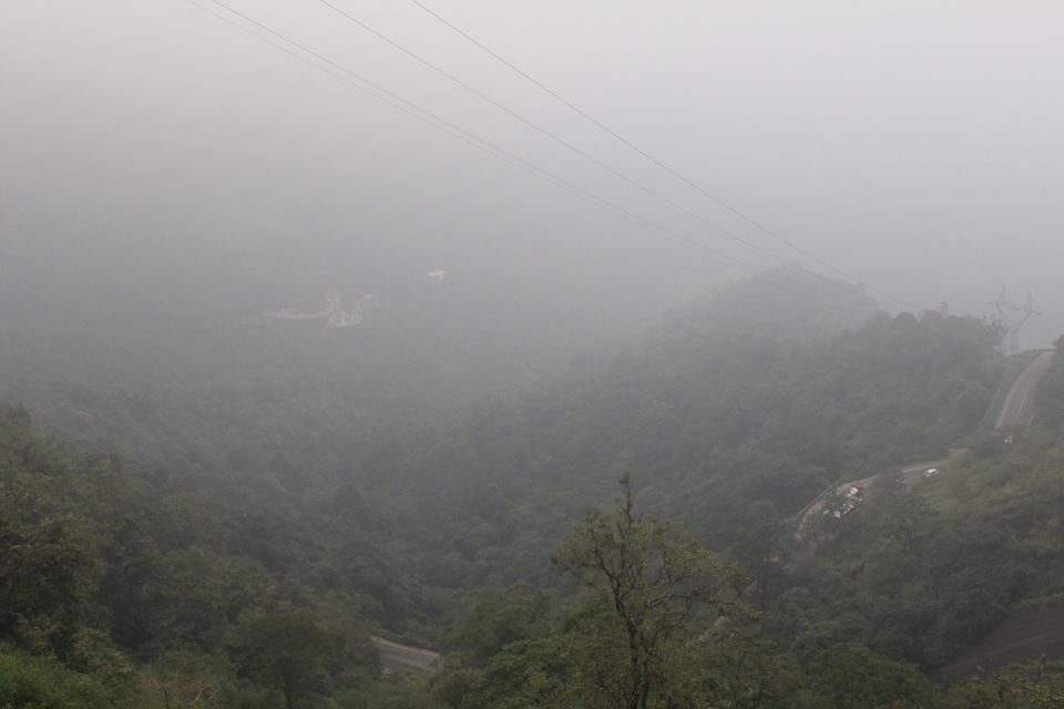 Photo of Wayanad: Where everyone feels at home 14/26 by Meghana Jambhe