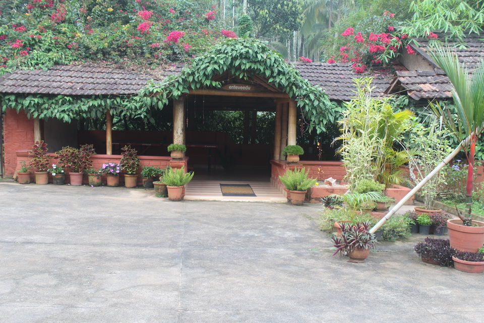 Photo of Wayanad: Where everyone feels at home 15/26 by Meghana Jambhe