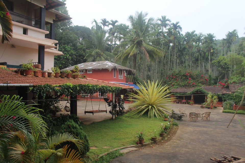 Photo of Wayanad: Where everyone feels at home 16/26 by Meghana Jambhe