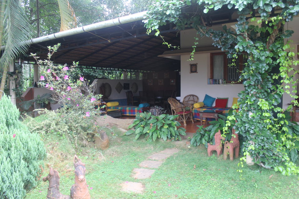 Photo of Wayanad: Where everyone feels at home 17/26 by Meghana Jambhe