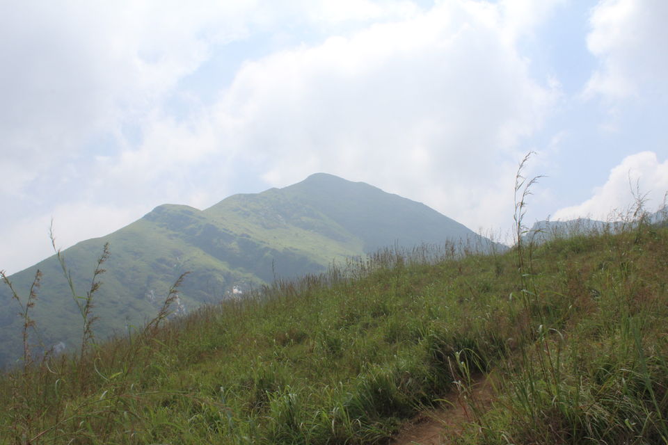 Photo of Wayanad: Where everyone feels at home 18/26 by Meghana Jambhe