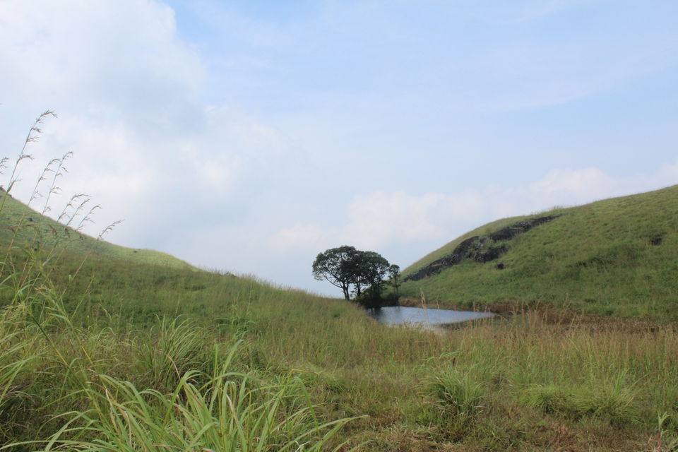 Photo of Wayanad: Where everyone feels at home 19/26 by Meghana Jambhe