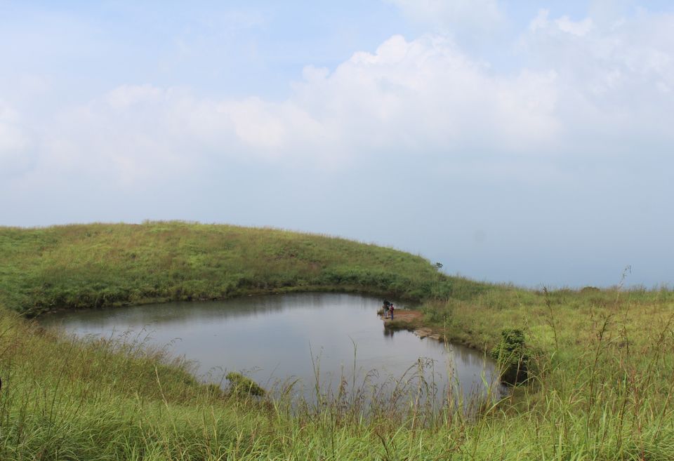 Photo of Wayanad: Where everyone feels at home 20/26 by Meghana Jambhe