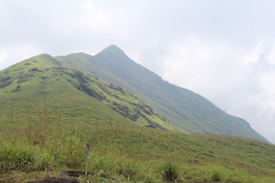 Photo of Wayanad: Where everyone feels at home 21/26 by Meghana Jambhe