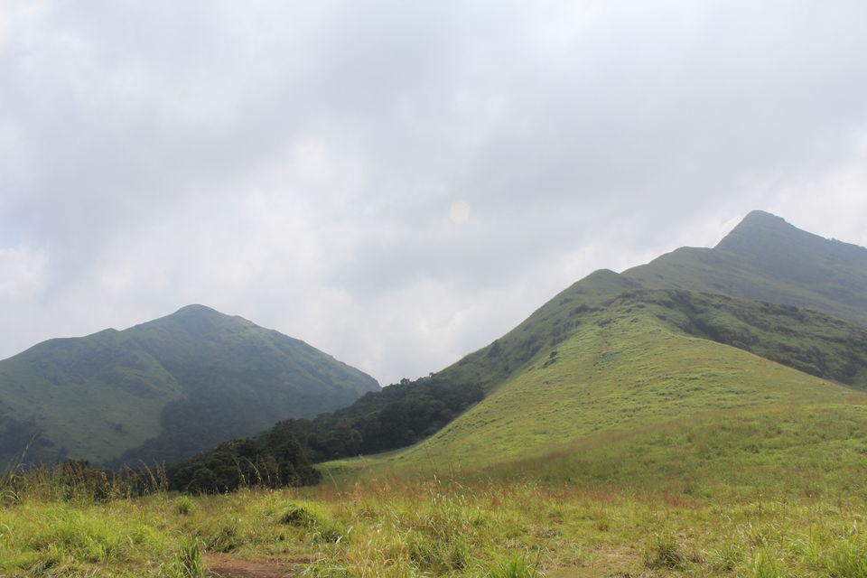 Photo of Wayanad: Where everyone feels at home 22/26 by Meghana Jambhe