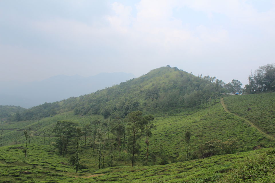 Photo of Wayanad: Where everyone feels at home 26/26 by Meghana Jambhe
