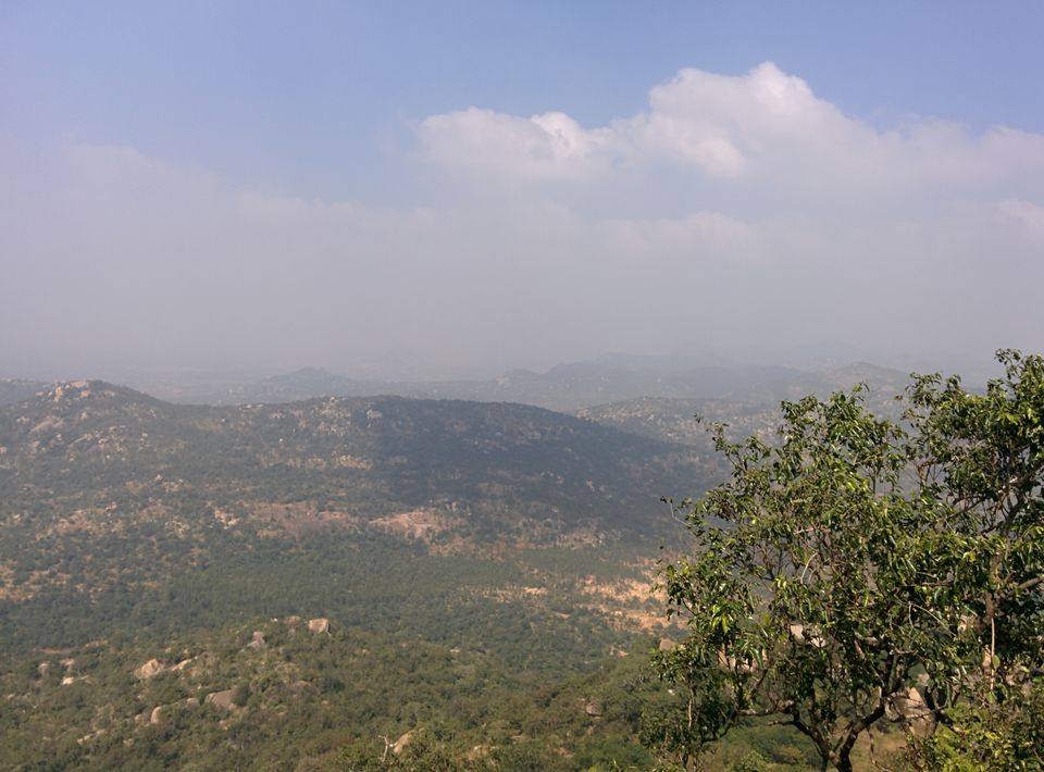 Photo of Avalabetta: On the verge of becoming famous 4/10 by Meghana Jambhe