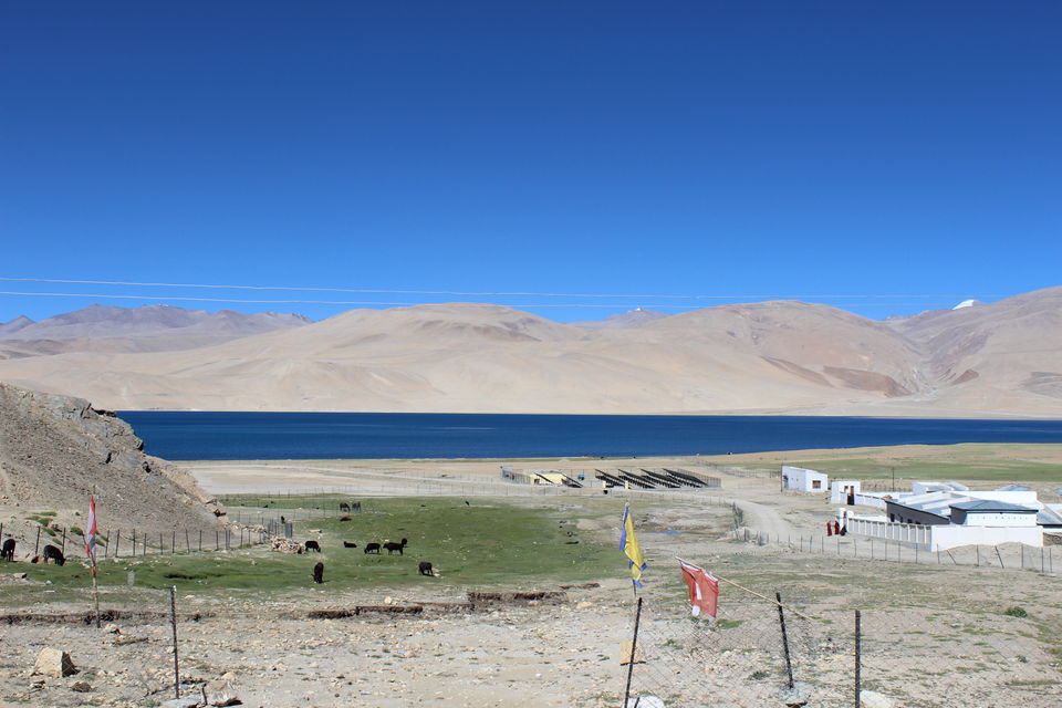 Photo of Perfect itinerary for Leh-Ladakh 5/55 by Meghana Jambhe