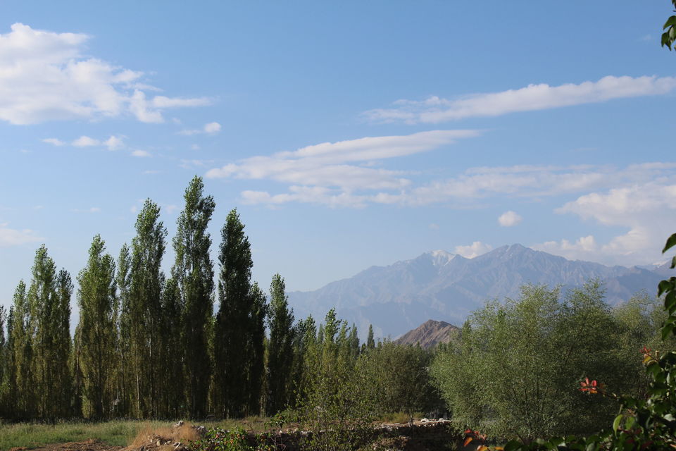 Photo of Perfect itinerary for Leh-Ladakh 12/55 by Meghana Jambhe