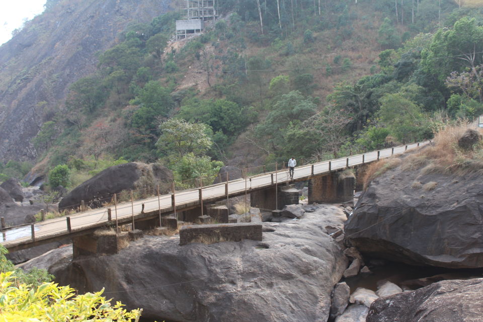 Photo of Munnar it is!! 2/16 by Meghana Jambhe