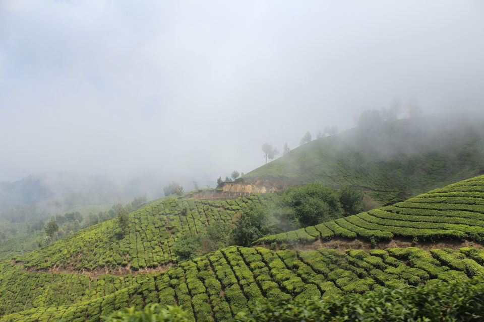 Photo of Munnar it is!! 4/16 by Meghana Jambhe