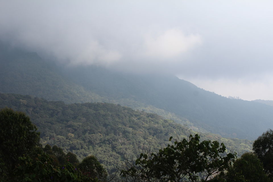 Photo of Munnar it is!! 5/16 by Meghana Jambhe