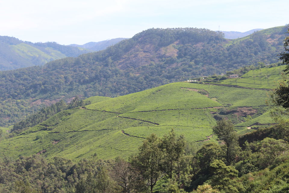 Photo of Munnar it is!! 7/16 by Meghana Jambhe