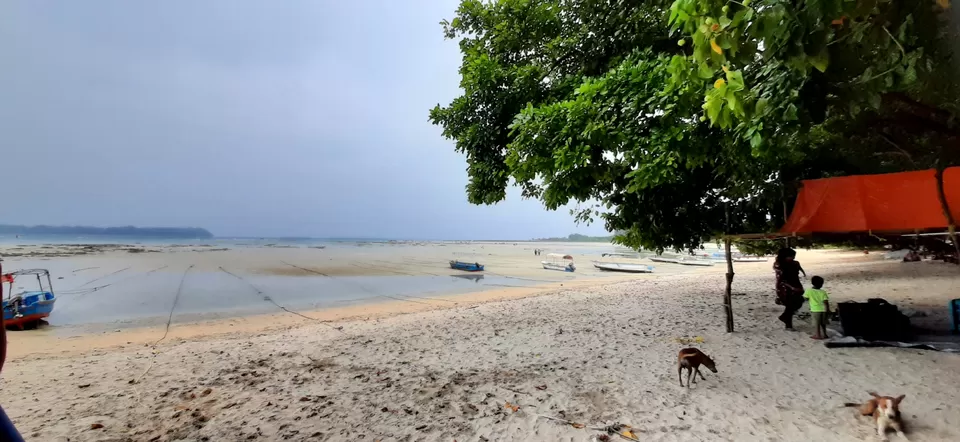 Photo of Trip To Andaman Islands by Shaik Ashraf Ali Ahmed