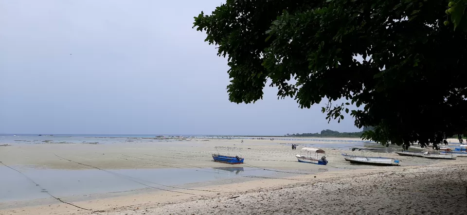 Photo of Trip To Andaman Islands by Shaik Ashraf Ali Ahmed
