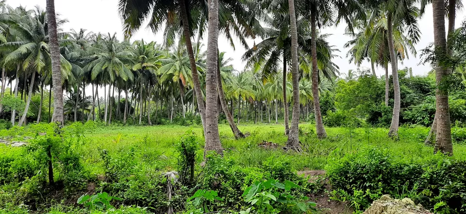 Photo of Trip To Andaman Islands by Shaik Ashraf Ali Ahmed